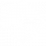 f11 logo